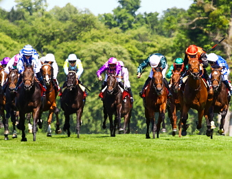 16 partants dans le Qatar Prix de l'Arc de Triomphe 2024