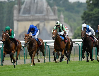 18 concurrents seront au départ du Qatar Prix du Jockey Club.