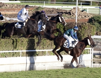 21 sont engagés en vue du Grand Steeple-Chase de Paris 2014