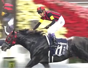 A Shin Hikari frappe un grand coup pour ses débuts en Europe