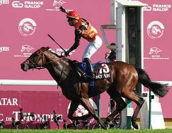 Ace Impact lors de son sacre dans le Qatar Prix de l'Arc de Triomphe