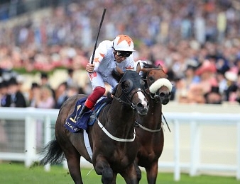 Advertise triomphe dans le Prix Maurice de Gheest ce dimanche 4 août à Deauville
