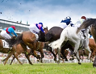 Al Hakeem remporte le Prix Guillaume d'Ornano