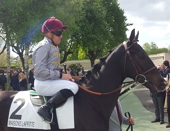 Al Wukair a fait grosse impression lors du Prix Djebel