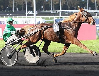 Aladin d'Ecajeul sera au départ du Prix de Cauvicourt le vendredi 18 mars