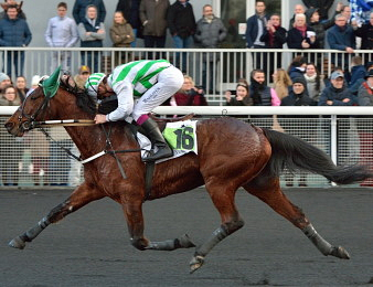Alexandre Abrivard en selle sur le champion Bilibili