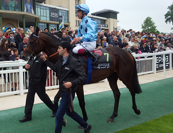 Almanzor est absent depuis octobre 2016