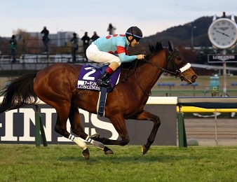 Almond Eye quitte la scène hippique par un succès de prestige