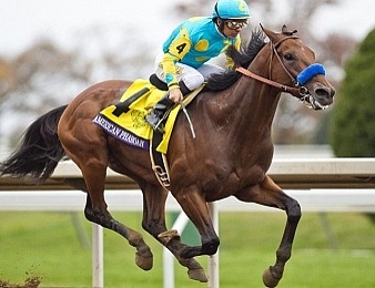 American Pharoah a marqué l'histoire des courses américaines