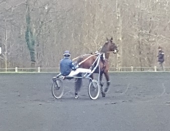 Amiral Sacha sera au départ du Prix de Sélection à Vincennes le 5 mars 2016