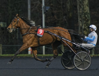 Ampia Mede Sm fait sa rentrée dans le Prix de Washington.
