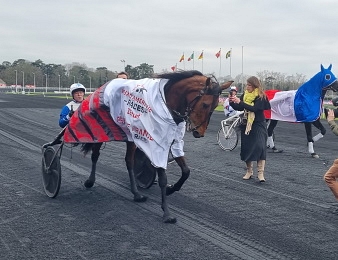 Ampia Mede Sm remporte le Prix de France 2023 ce dimanche 12 février à Vincennes.
