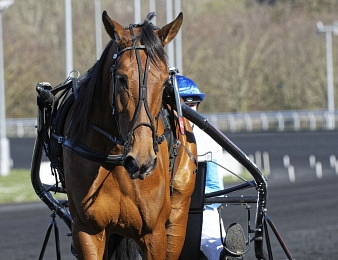 Ampia Mede Sm rentre victorieusement