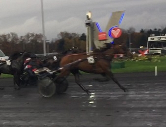 Anna Mix courra le 10 décembre en Suède