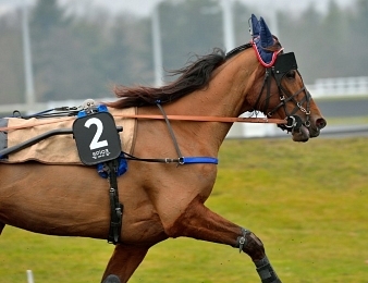 Anna Mix interdite de Prix d'Amérique