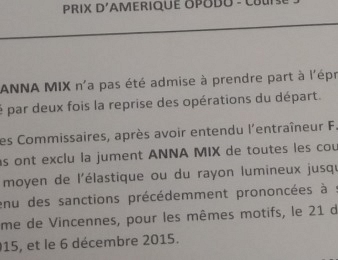 Anna Mix s'est vue exclure après ses facéties lors du Grand Prix d'Amérique 2017