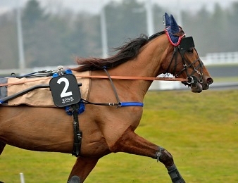 Anna Mix sera en vue dans le Prix des Géants