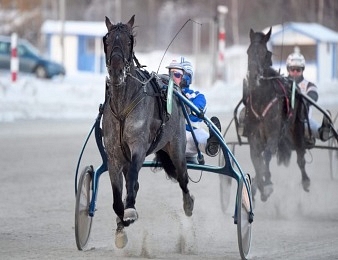 Antonio Tabac rencontre Propulsion ce samedi à Solvalla