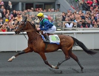 Arlington Dream est le tenant du titre