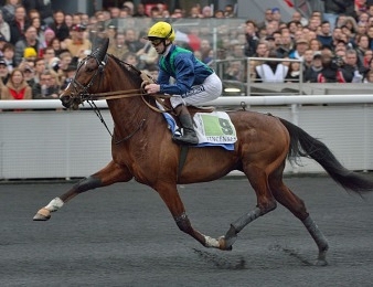 Arlington Dream ne termine que quatrième ce dimanche 23 septembre à Vincennes