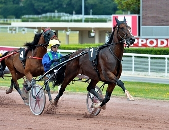Arlington Dream s'impose dans le Prix Yvonnick Bodin ce samedi 30 décembre à Vincennes