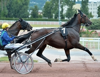 Arlington Dream va tenter de remporter une troisième victoire d'affilé