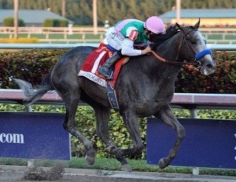 Arrogate était l'un des meilleurs galopeurs de l'histoire des courses.