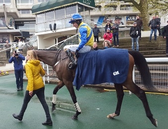 As d'Estruval est prêt pour le Grand Steeple-Chase de Paris