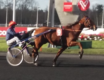 Aubrion du Gers a remporté le Prix de la Marne au sulky de Jean-Michel Bazire