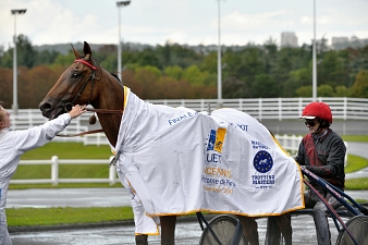 Aubrion du Gers prendra part au Tiercé, Quarté, Quinté de ce jour
