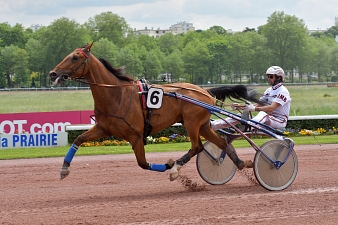 Aubrion du Gers s'annonce difficile à battre à Argentan