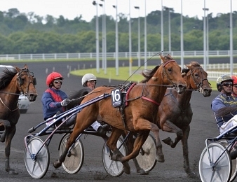 Aubrion du Gers s'impose dans le Grand Prix de la Fédération du Nord ce mercredi