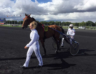 Aubrion du Gers s'offre son Prix d'Amérique à lui