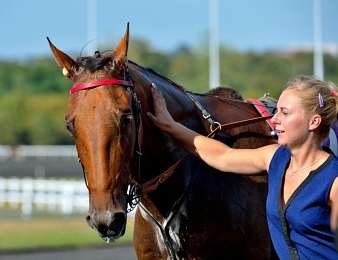 Aubrion du Gers sera au départ du Grand Prix à Vichy
