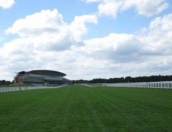 Avant d'être couverte par Frankel, Black Caviar pourrait être revue à Royal Ascot