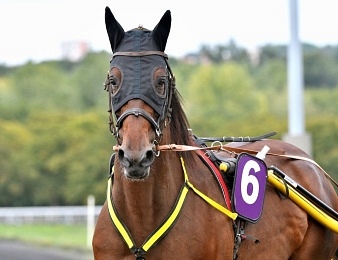 Bahia Quesnot sera au départ du l'International Trot ce samedi