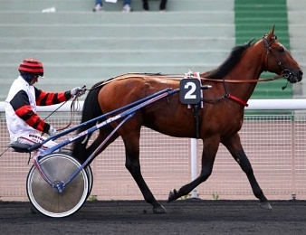 Beau Gamin s'impose à Son Pardo ce dimanche 30 septembre