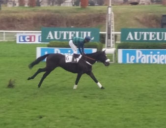 Bel La Vie a remporté le Prix Georges Courtois dimanche 27 novembre à Auteuil