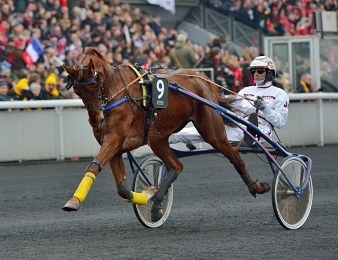 Bélina Josselyn fera partie des favoris du Prix d'Amérique