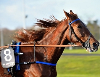 Belina Josselyn fera sa rentrée ce vendredi 14 avril à Vincennes