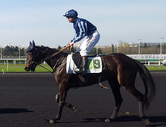 Belissima France remporte le Prix Louis Forcinal