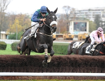 Bertrand Lestrade a remporté le Grand Steeple-Chase de Paris 2013 avec Bel La Vie