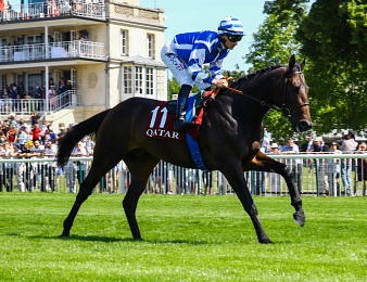 Big Rock peut renouer avec le succès