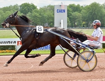 Bird Parker affronte Valko Jenilat et Amiral Sacha ce jeudi aux Sables