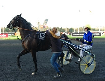 Bird Parker était la note du Grand Prix d'Amérique 2016