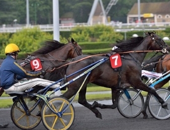 Bird Parker s'impose dans le Grand Prix de Waregem