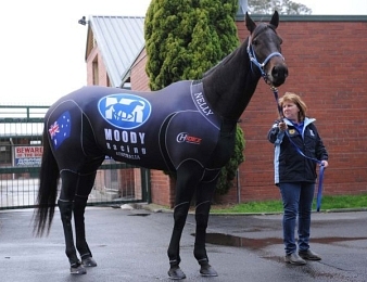 Black Caviar remet son invincibilité en jeu