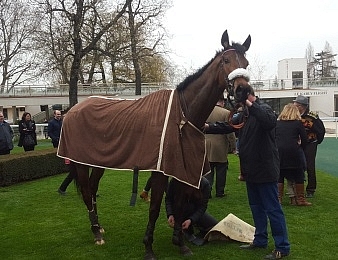 Blue Dragon a fait l'impasse sur le Prix La Barka