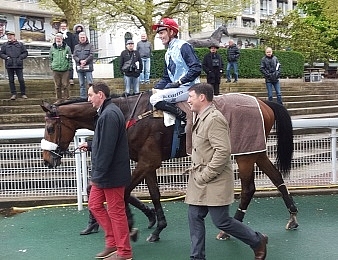 Blue Dragon sera au départ de la Grand Course de Haies d'Auteuil ce dimanche 11 juin