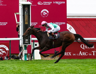 Bluestocking lors de son sacre dans le Qatar Prix de l'Arc de Triomphe 2024